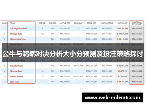 公牛与鹈鹕对决分析大小分预测及投注策略探讨